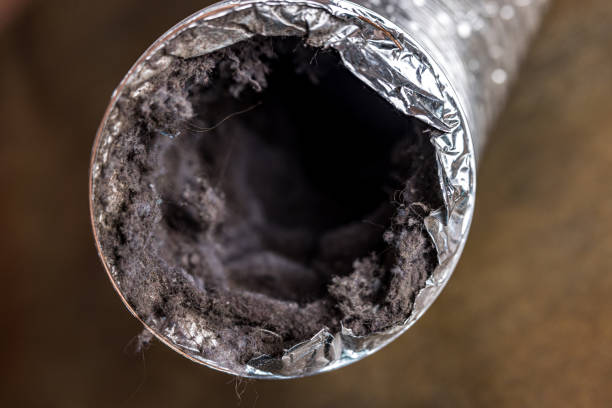 Best Local Air Duct Cleaning Services  in Elmwood Park, IL