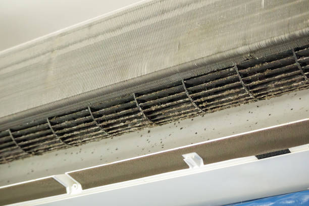 Best Best Air Duct Cleaning Company  in Elmwood Park, IL